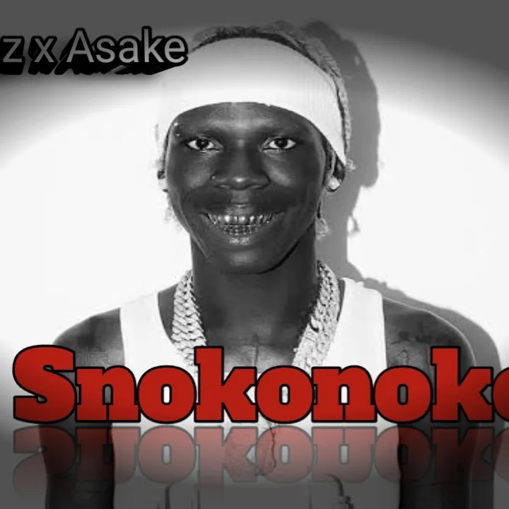 Snokonoko artwork by swarttranga06