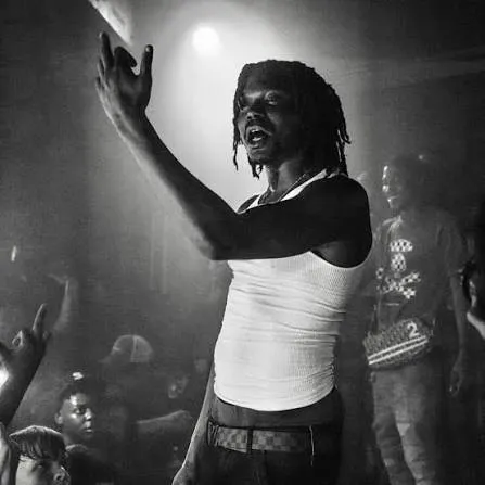 LUCKI TYPE BEAT "PERK DREAMS''  artwork by ty_wav