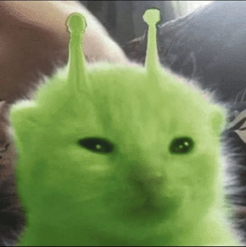 royal51's profile picture