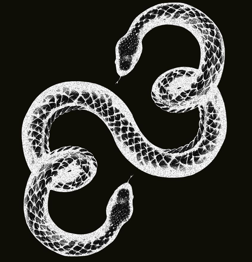 matta profile hero