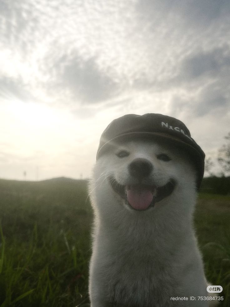 itsmxn's profile picture