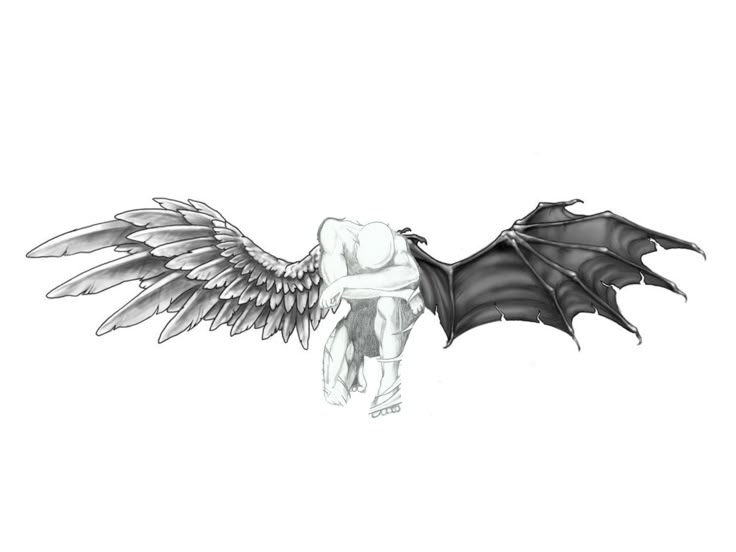 Countdemiri profile hero
