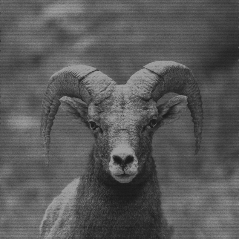 MossBeats666_