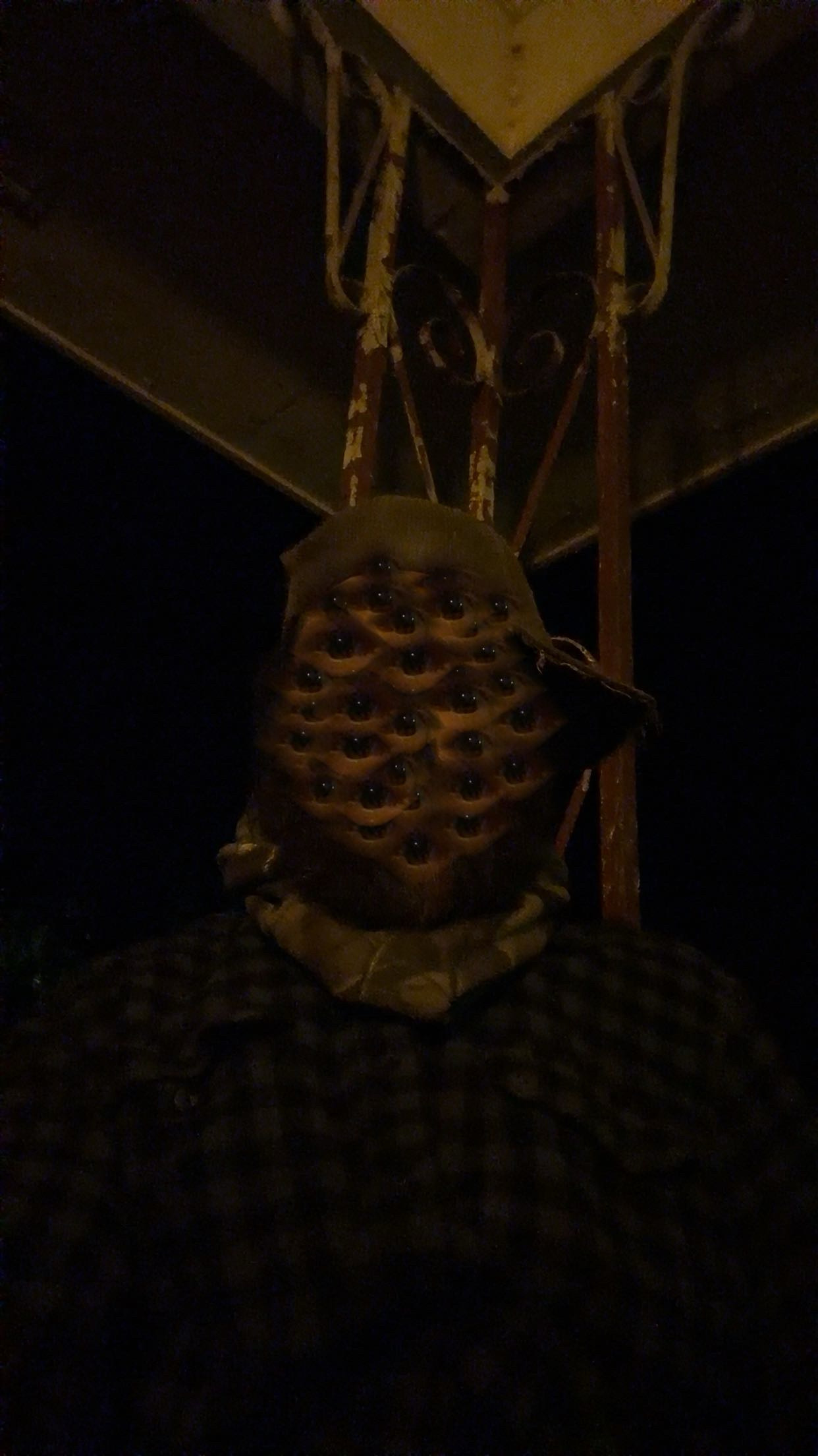 WhatTheFuckIsMyName's profile picture
