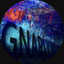 Gnarly_Waves's profile picture