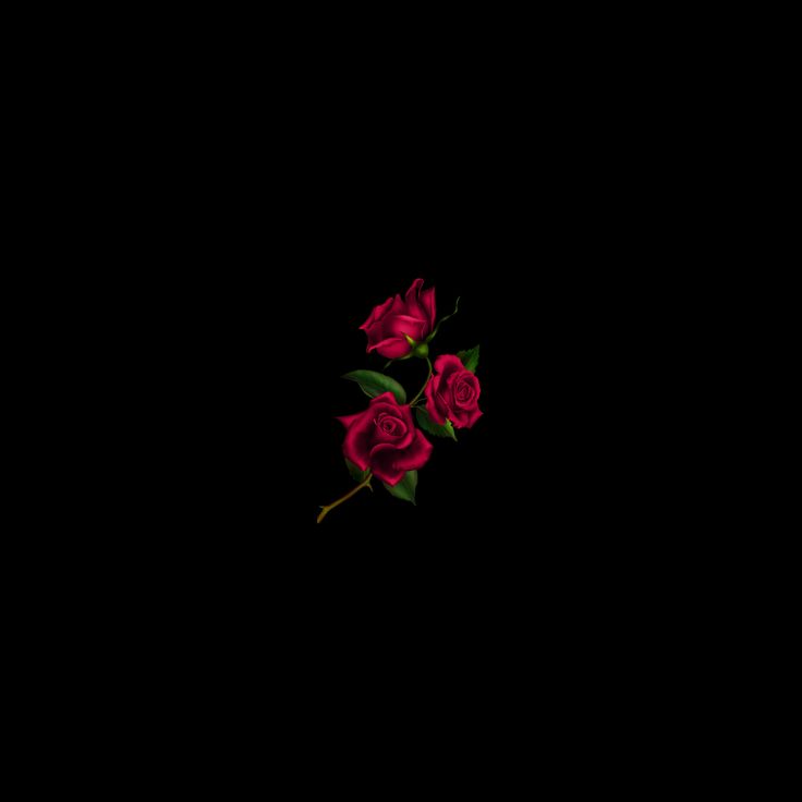 prodbynexis's profile picture