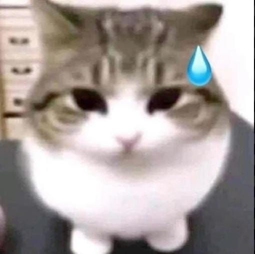 p4nder's profile picture