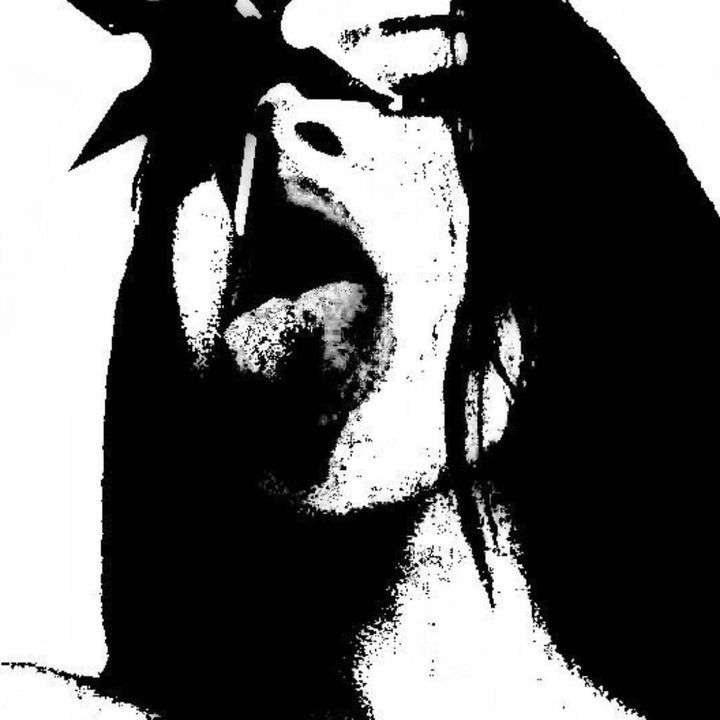 haylo's profile picture