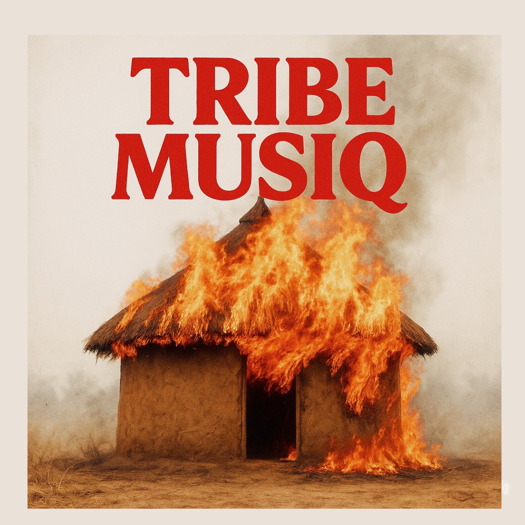 TribeMusiq's profile picture