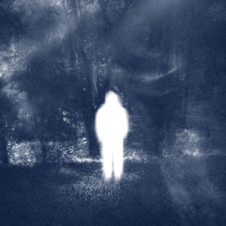 aspegic21's profile picture