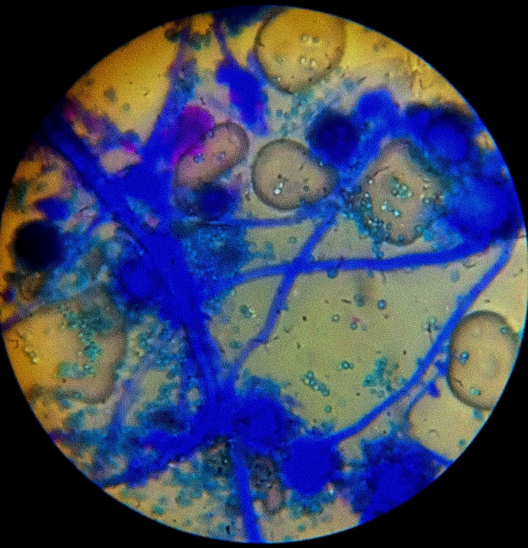 atomik