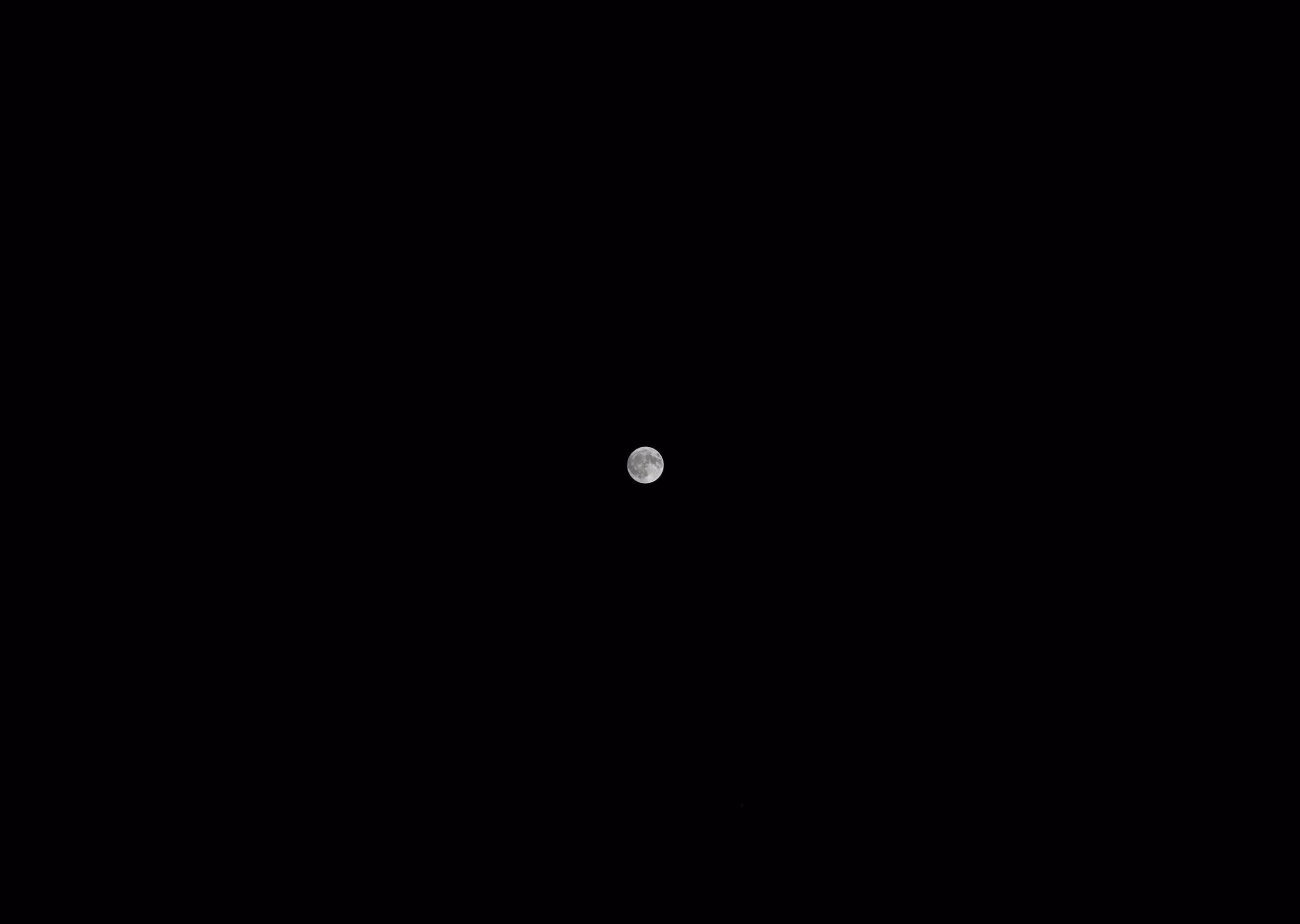 Byee2's profile picture