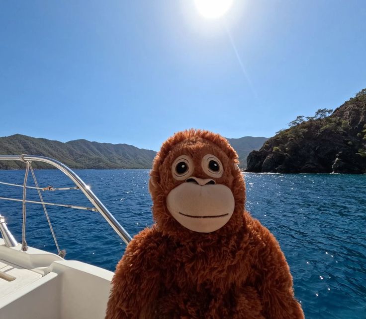 Looney The Boy's profile picture