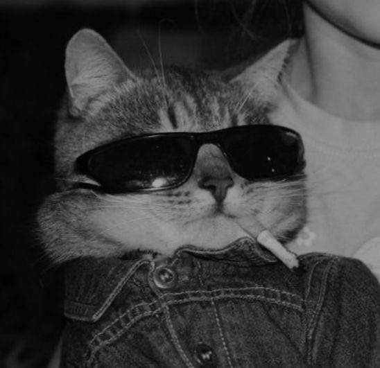 Raffy's profile picture