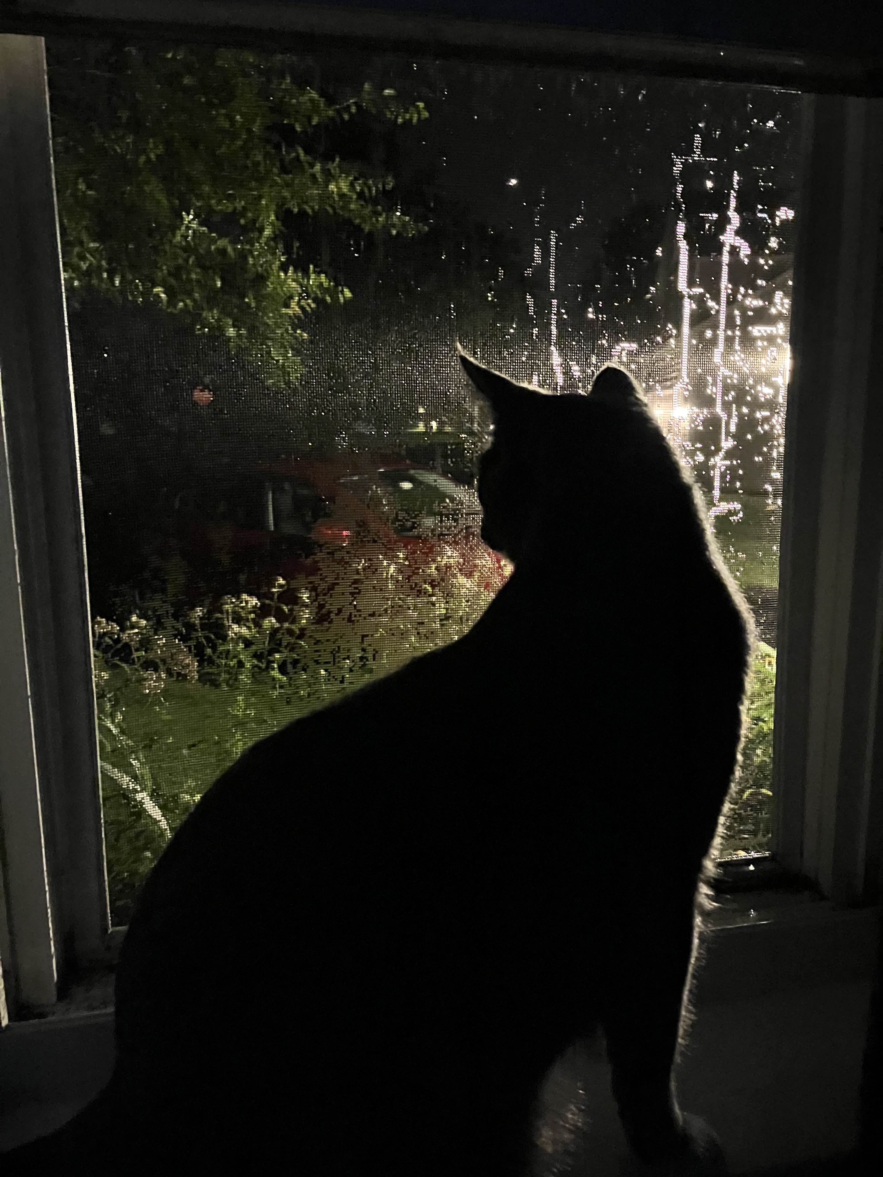 royal's profile picture