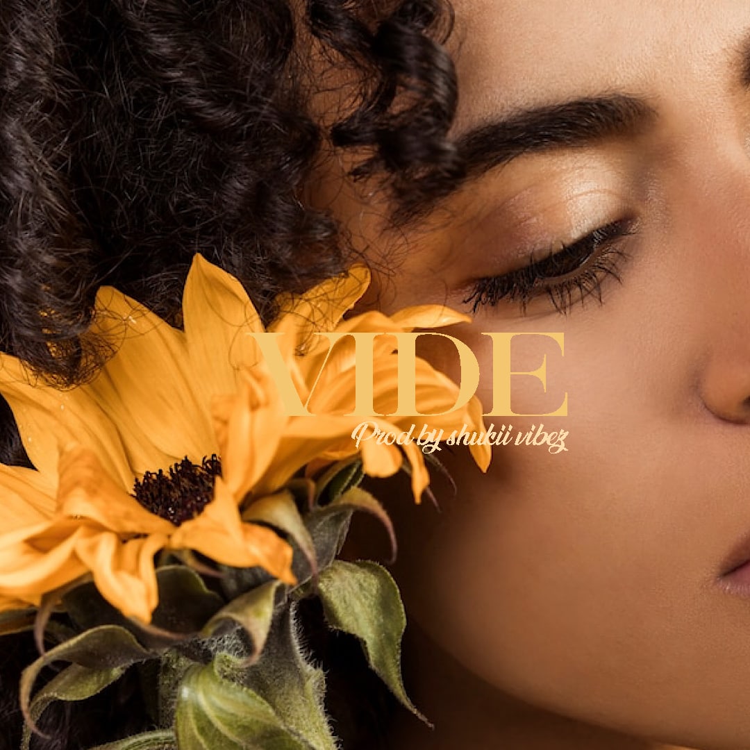 VIDE artwork by Shukii Vibez