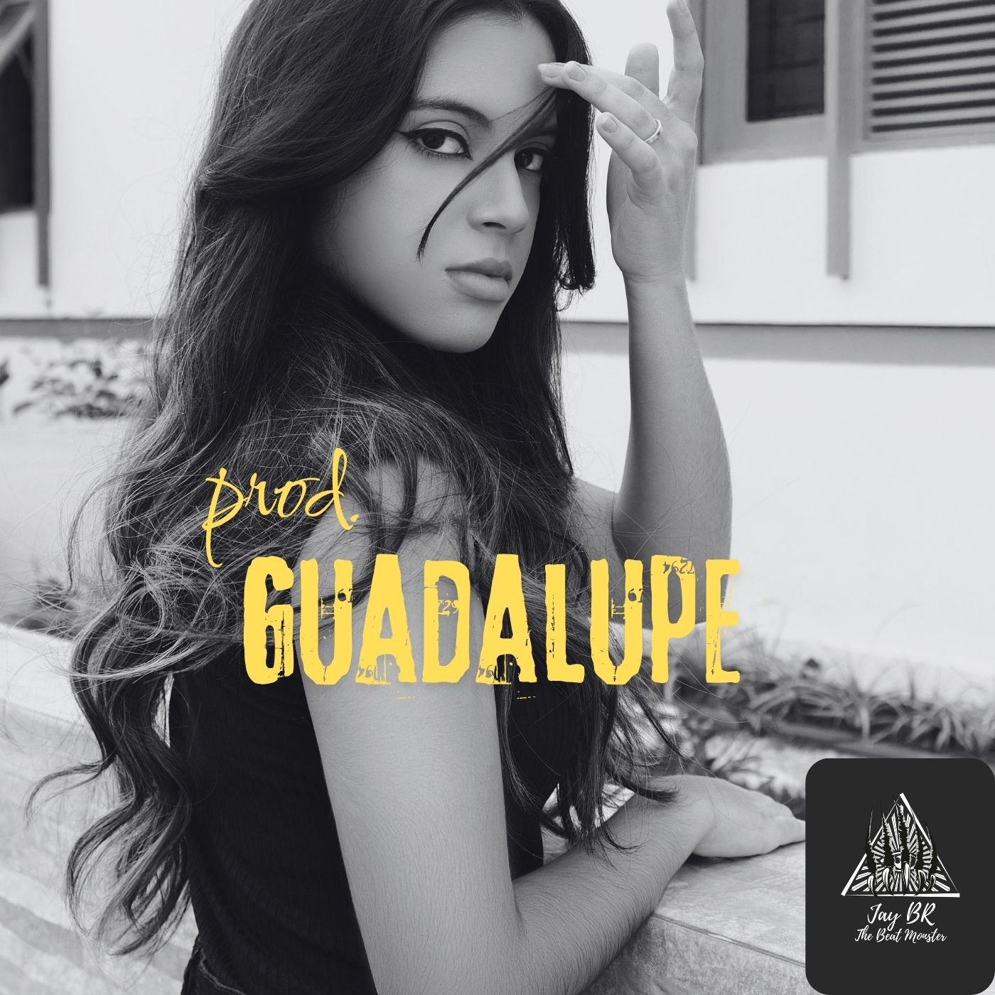Guadalupe (Trap Beat) artwork by Jay BR "The Beat Monster"