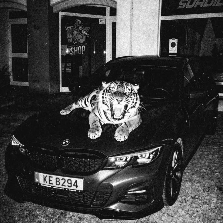 ECHOES (HOODTRAP)