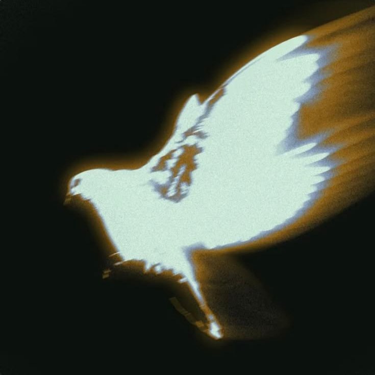 misogi + ambient rage type beat - "doves" artwork by ccopx