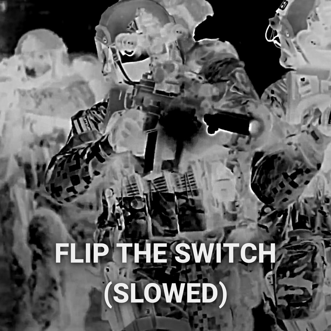 Flip The Switch (SLOWED) | Metal Instrumental artwork by EJK HARD