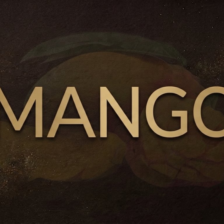 Afrobeat x Afrofusion - Mango (Prod. ANODA BANGA) artwork by northframemusic