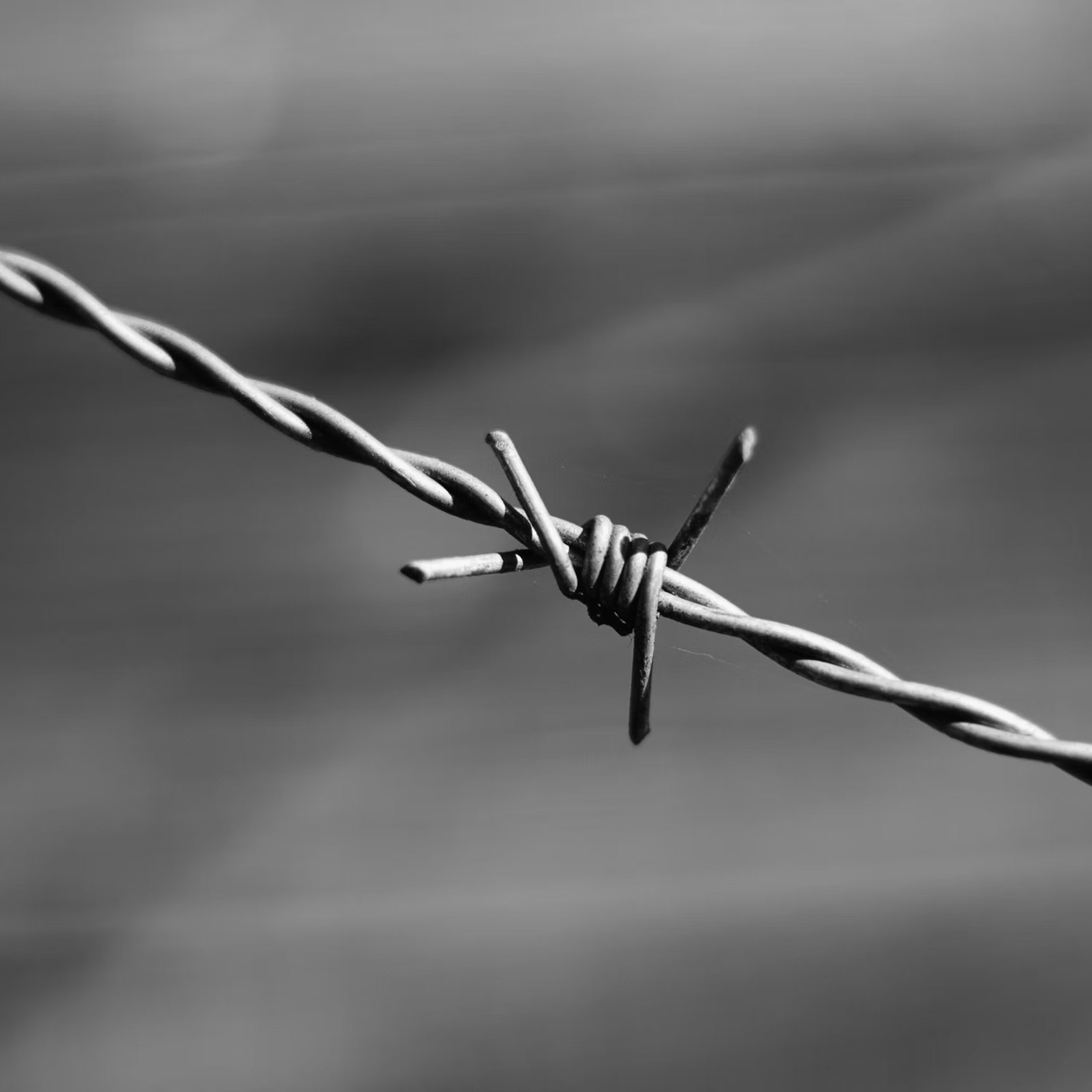 Barbwire Flow artwork by stviib