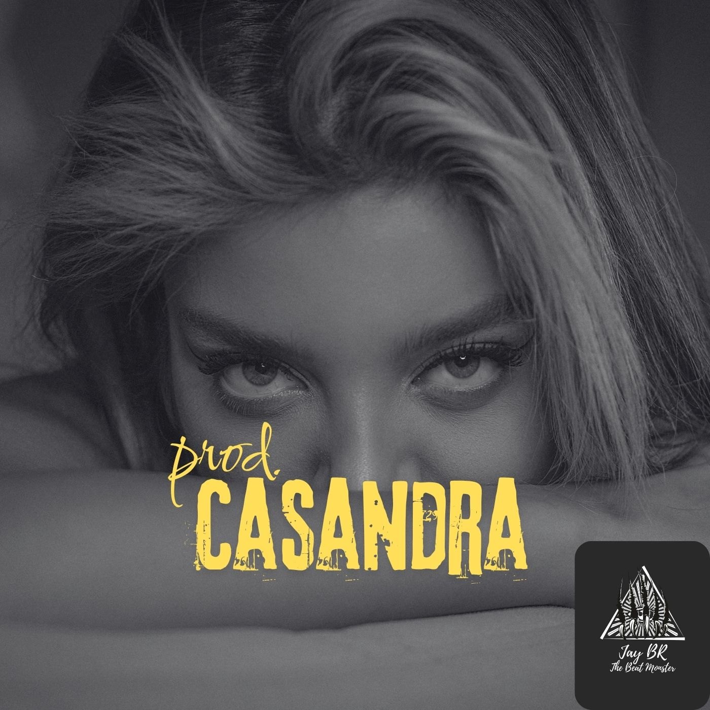 Casandra  (Dance Hall  Beat) artwork by Jay BR "The Beat Monster"