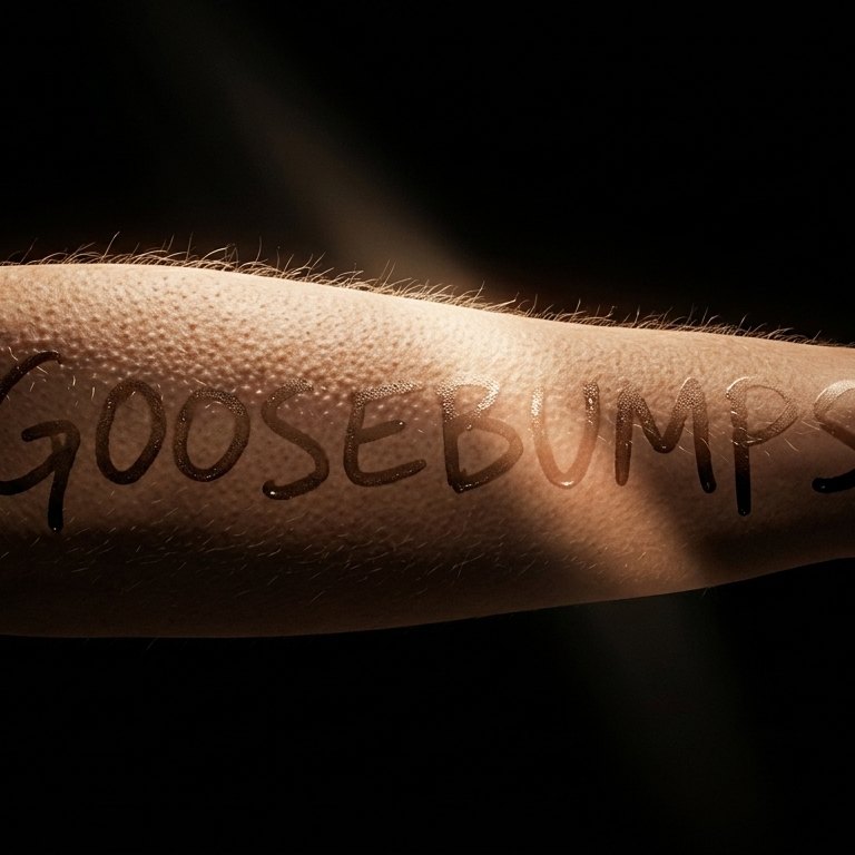 Goosebumps  | Justin Bieber, Dj Khaled (Prod. GOODS!GHTS) artwork by northframemusic