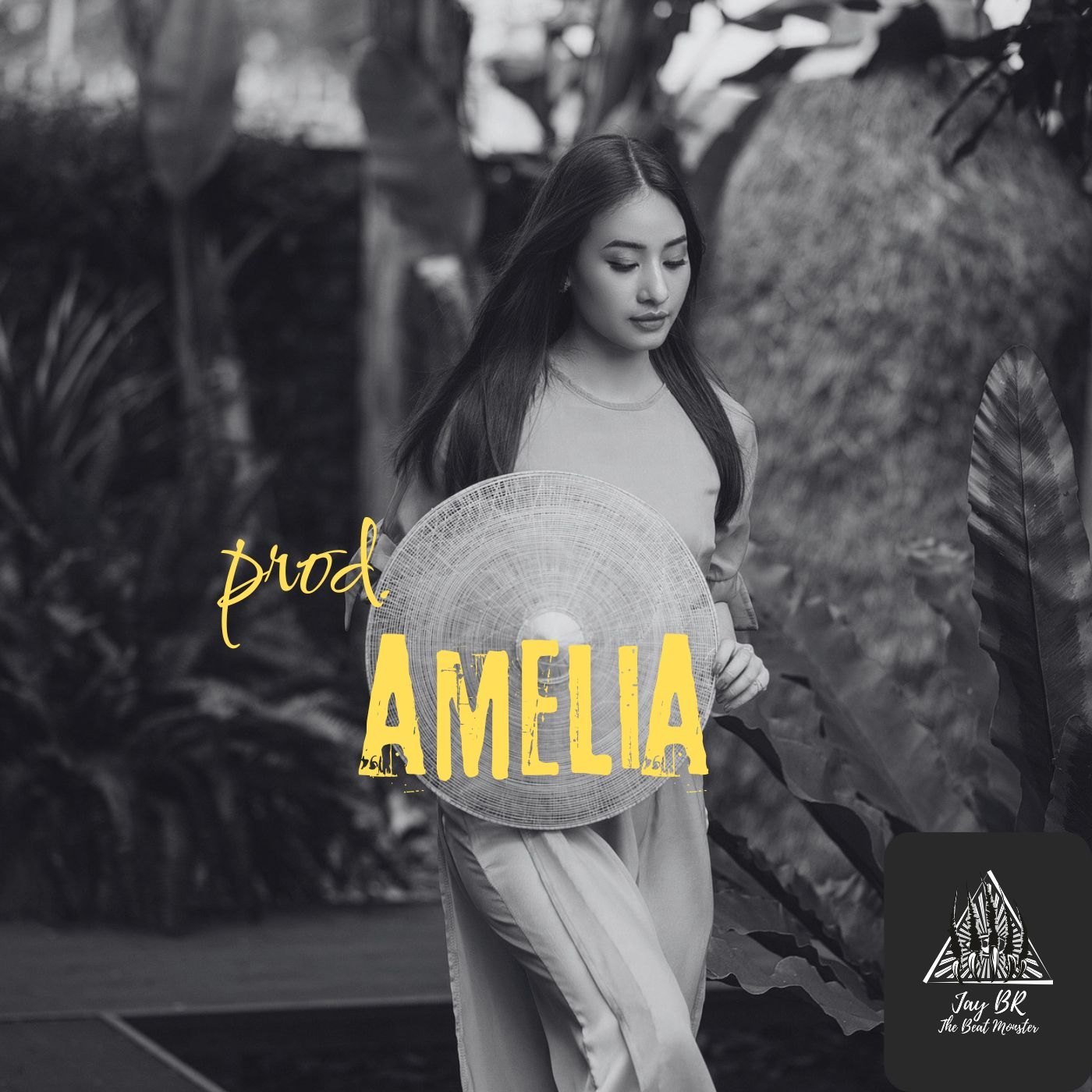 Amelia (Reggaeton Beat) artwork by Jay BR "The Beat Monster"