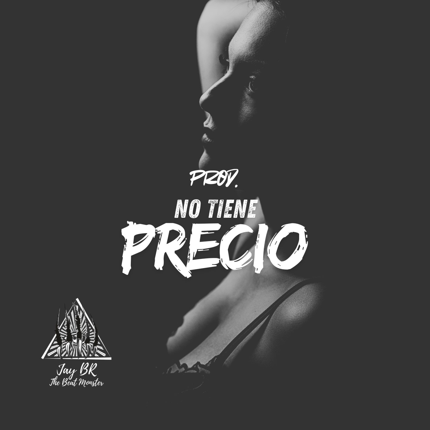 No Tiene Precio (Reggaeton Beat) artwork by Jay BR "The Beat Monster"