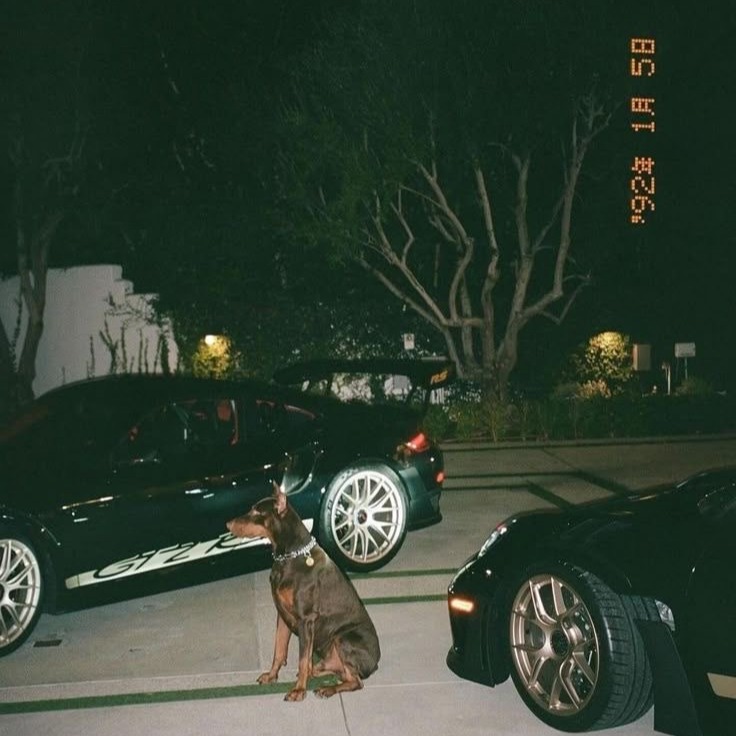  All Night artwork by chicomadethatt