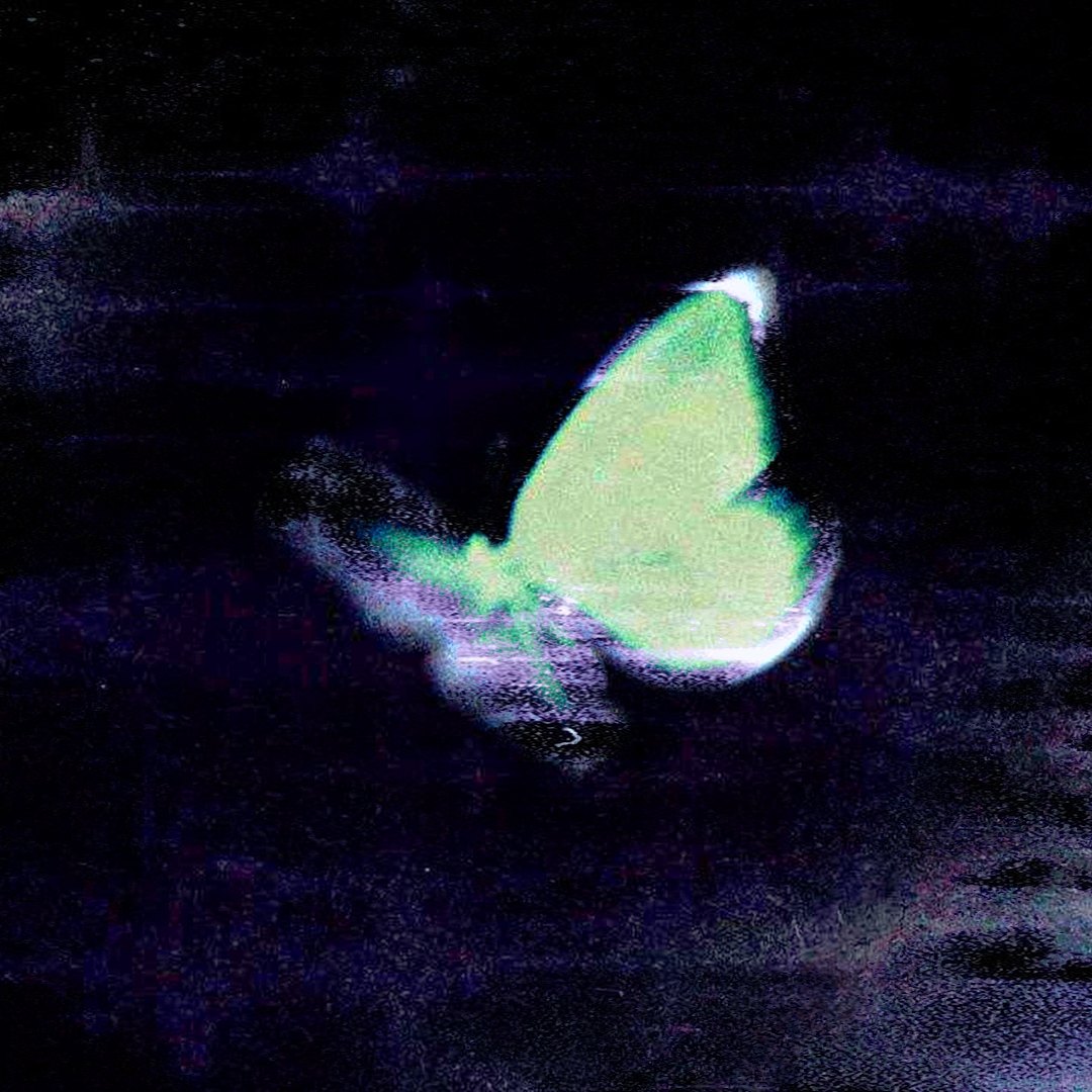 ambient + ginseng type beat "wings"  artwork by ccopx