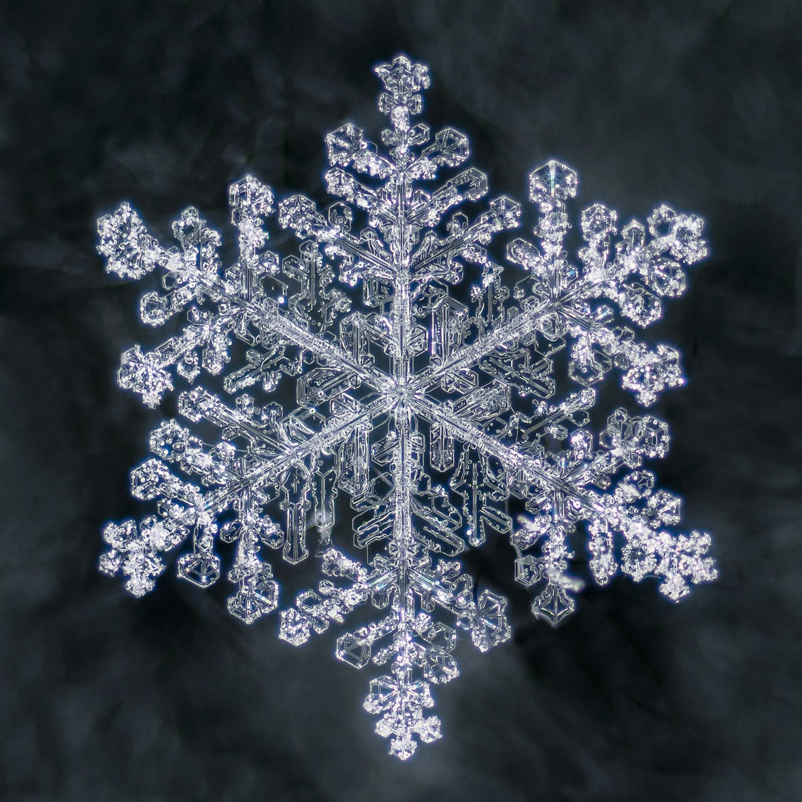 Snowflake artwork by OmgDxvid