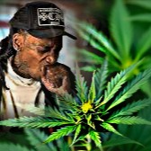 THE BEST WEED WIZ KHALIFA BEAT artwork by LUCID$