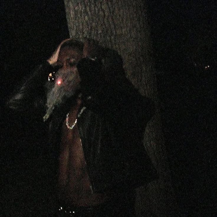 Destroy Lonely type beat / WIld! artwork by BangaBeatstar