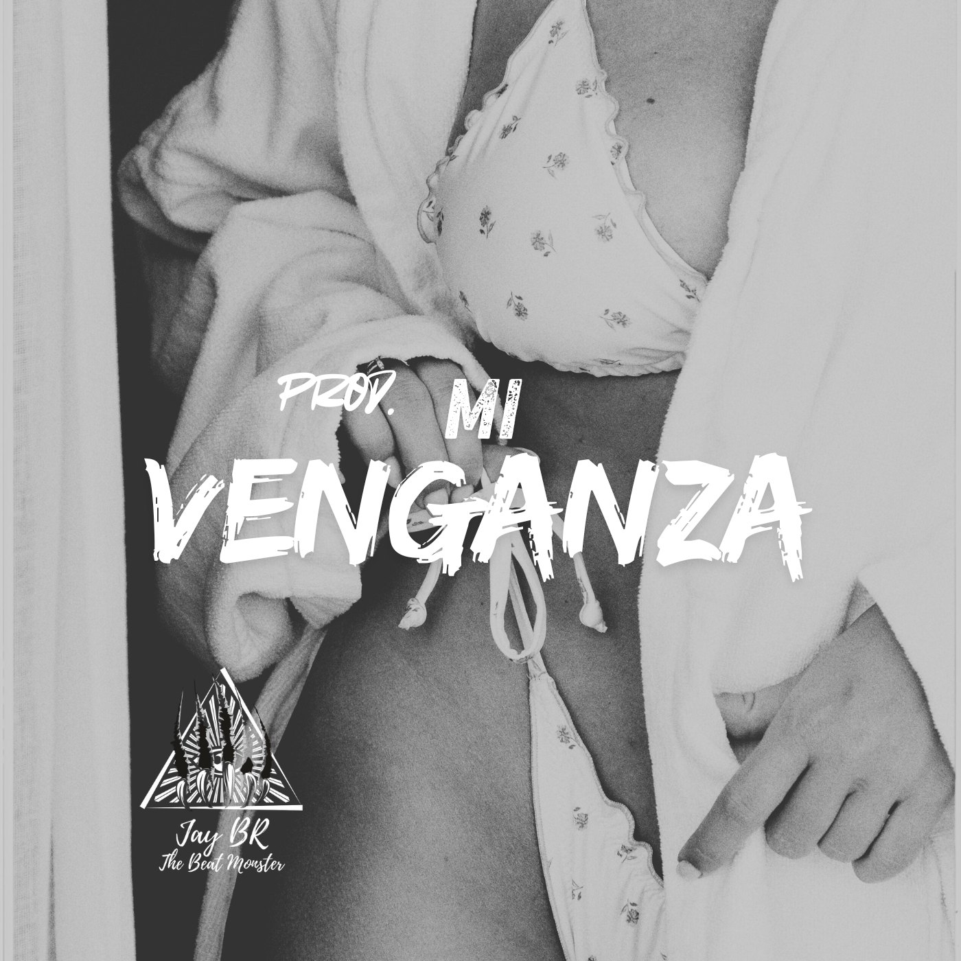 Mi Venganza  (Reggaeton Beat) artwork by Jay BR "The Beat Monster"
