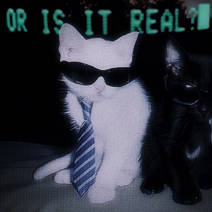Westwood x Y2K x 2000s Swag Type Beat "Mysterious" artwork by boo