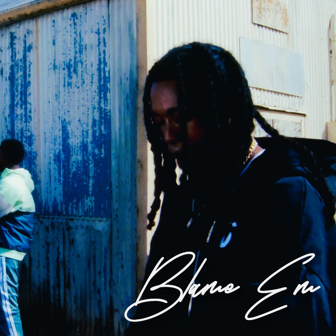 Blame Em artwork by bjaintfinnaplay