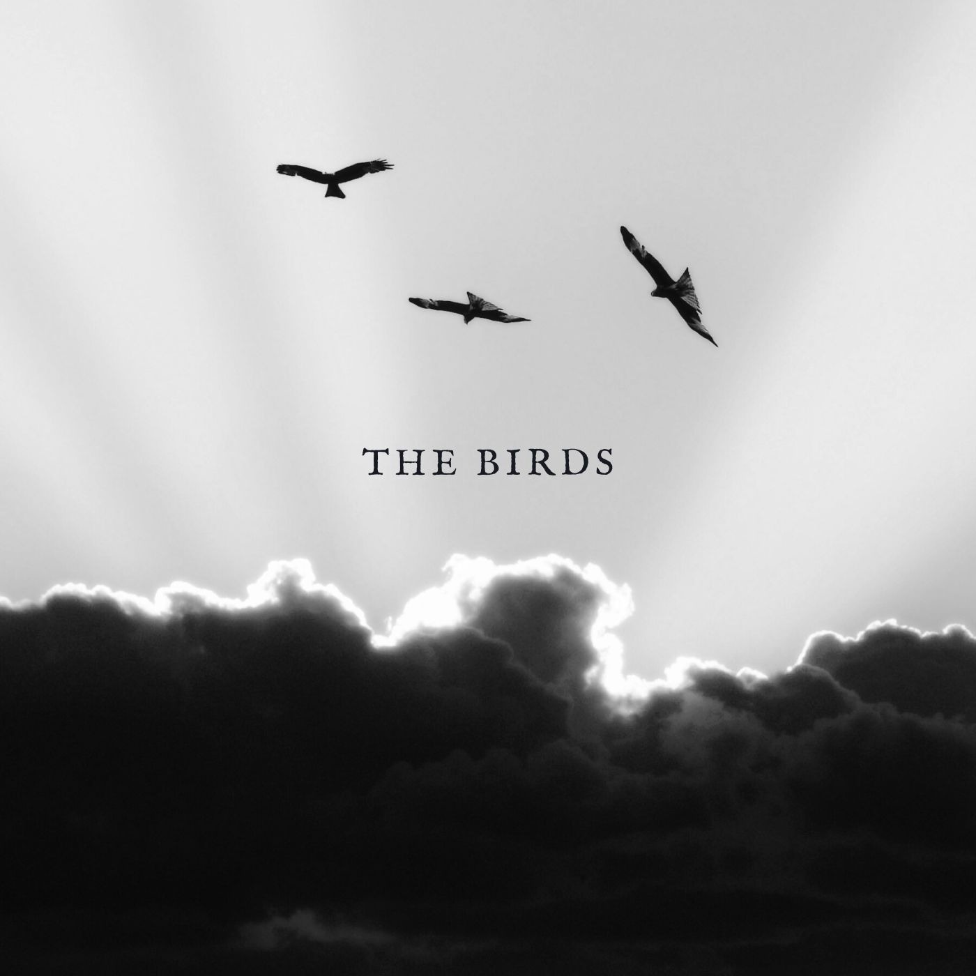 Playboi Carti x Future type beat; "The Birds" artwork by LukeATakeItAway