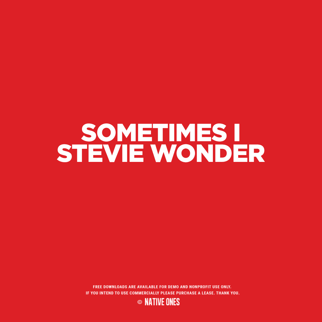 Sometimes I Stevie Wonder artwork by IAMCL