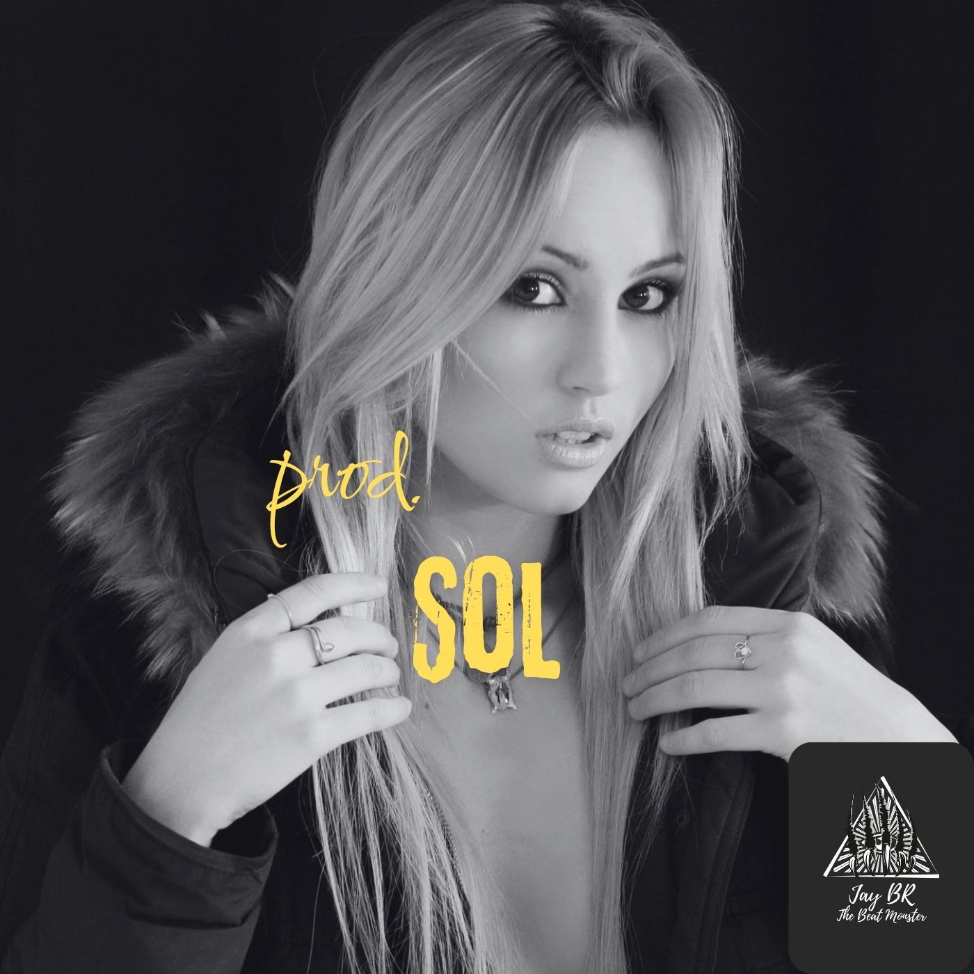 Sol   (Reggaeton Beat) artwork by Jay BR "The Beat Monster"