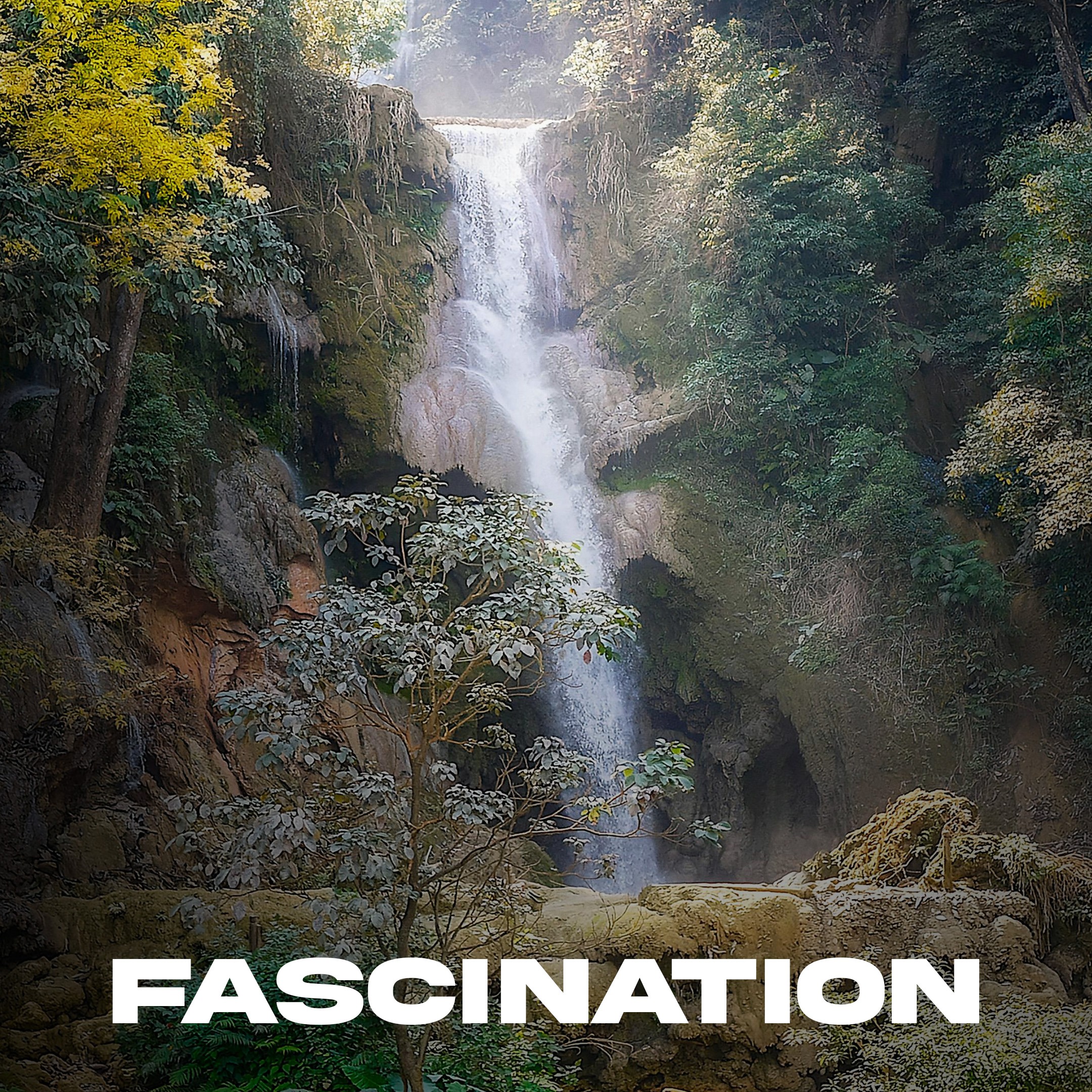 Fascination artwork by MirageMadeIt