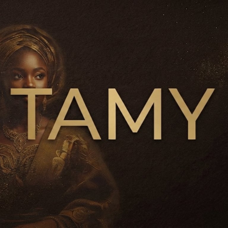 Tamy | AFROBEAT x AFROFUSION artwork by northframemusic
