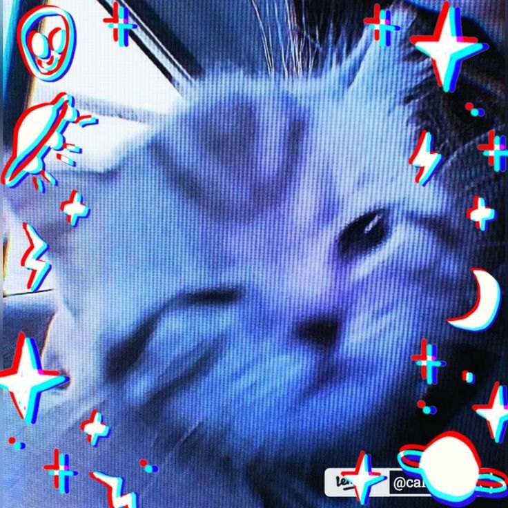 westwood + swag + 2000s type beat "neo" artwork by boo