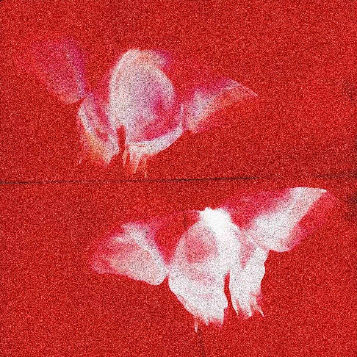 NAVII 115BPM @Dayhills @Kjbeat artwork by Dayhills