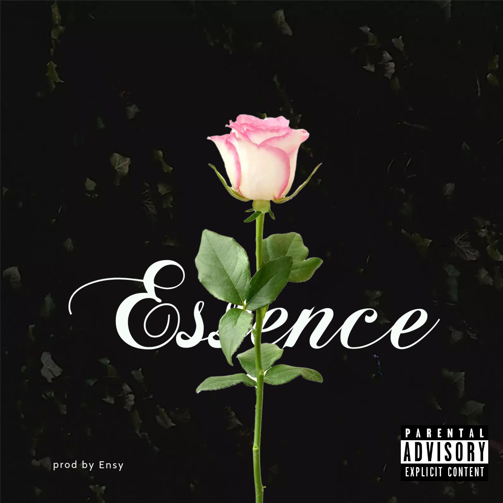 21 savage x Future type beat "Essence" artwork by HitsNC