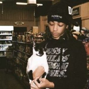Ginseng + Che Type Beat artwork by Louis_Vuitton_Genocide