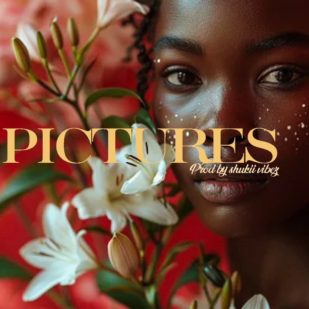 PICTURES artwork by Shukii Vibez
