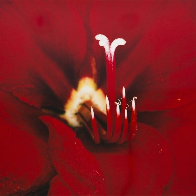 Slipping Thru Your Fingers artwork by kookup
