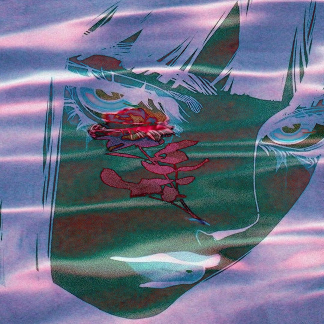 ambient + ginseng type beat "bleached" artwork by ccopx